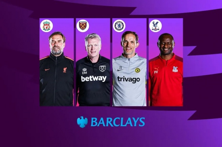 夏洛特黄蜂 夏洛特黄蜂