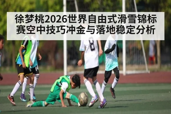 徐梦桃2026世界自由式滑雪锦标赛空中技巧冲金与落地稳定分析 | kaiyun